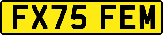 FX75FEM
