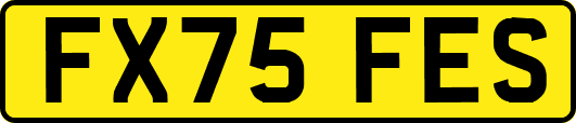 FX75FES