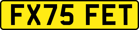 FX75FET