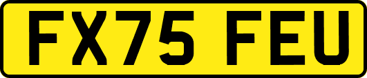 FX75FEU