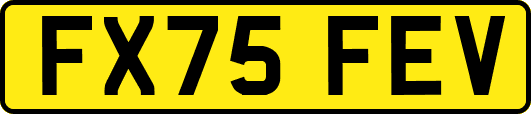 FX75FEV