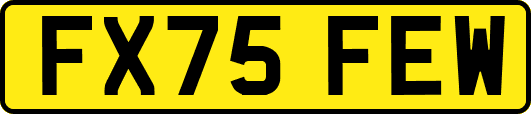 FX75FEW