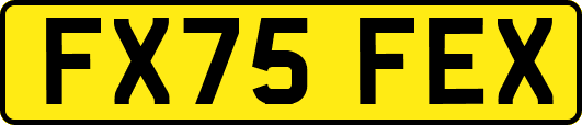 FX75FEX