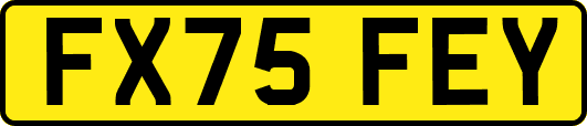FX75FEY