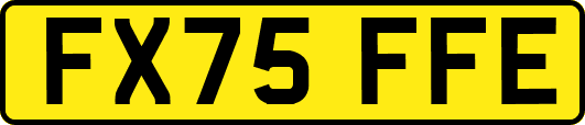 FX75FFE