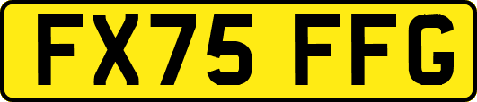 FX75FFG