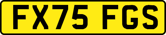 FX75FGS