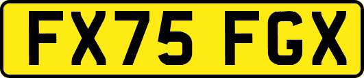 FX75FGX