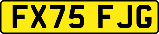 FX75FJG