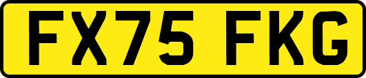 FX75FKG