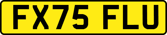 FX75FLU