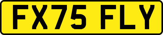 FX75FLY