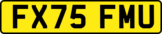 FX75FMU