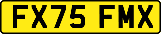 FX75FMX