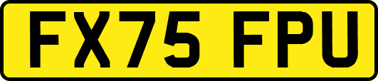 FX75FPU
