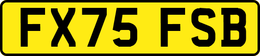 FX75FSB