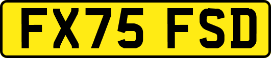 FX75FSD