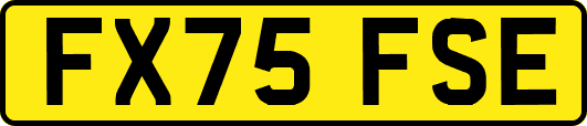 FX75FSE
