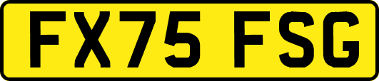 FX75FSG