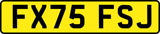 FX75FSJ