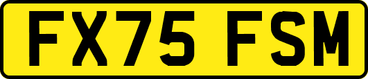 FX75FSM