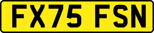 FX75FSN