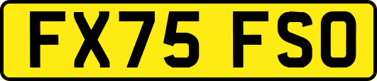 FX75FSO