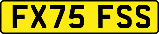 FX75FSS