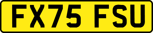 FX75FSU