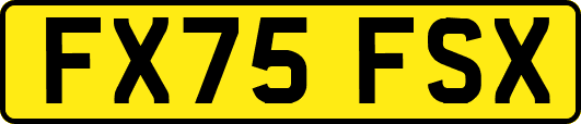 FX75FSX