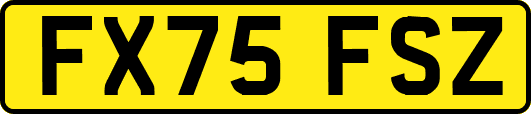 FX75FSZ