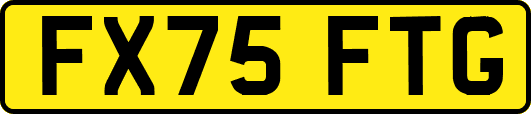 FX75FTG