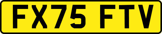 FX75FTV