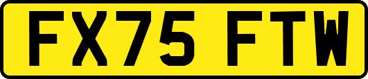 FX75FTW