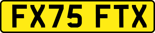 FX75FTX