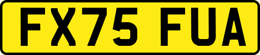 FX75FUA