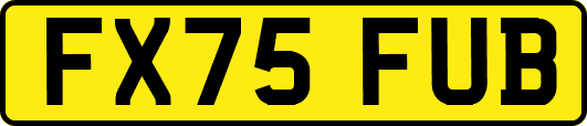 FX75FUB