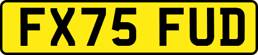 FX75FUD