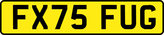 FX75FUG