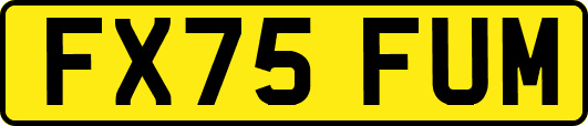 FX75FUM