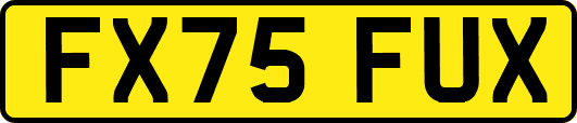 FX75FUX