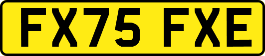 FX75FXE