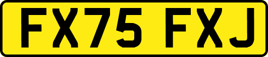 FX75FXJ