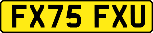 FX75FXU
