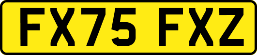 FX75FXZ