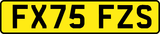 FX75FZS
