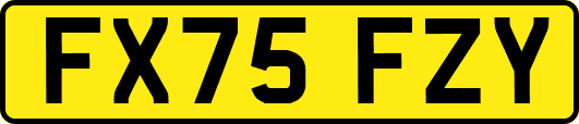 FX75FZY
