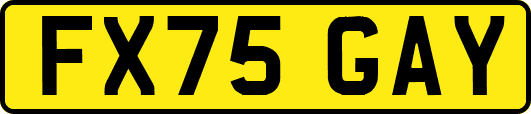 FX75GAY