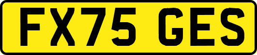 FX75GES