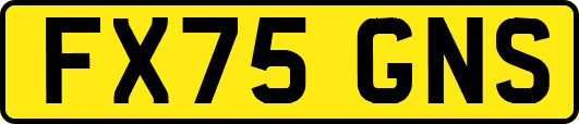 FX75GNS